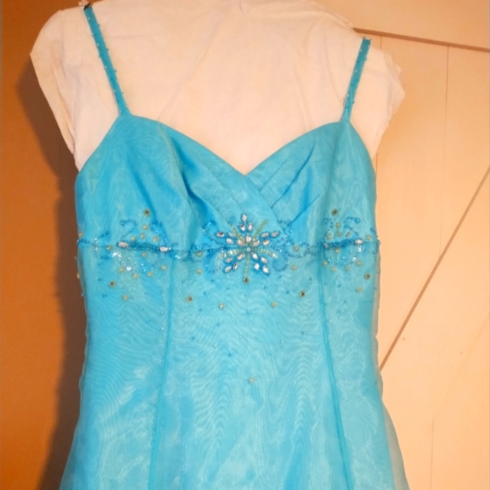 David's Bridal Blue Embellished Wedding Dress